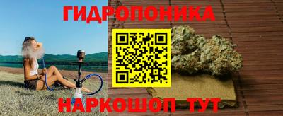 ALPHA PVP Бердск