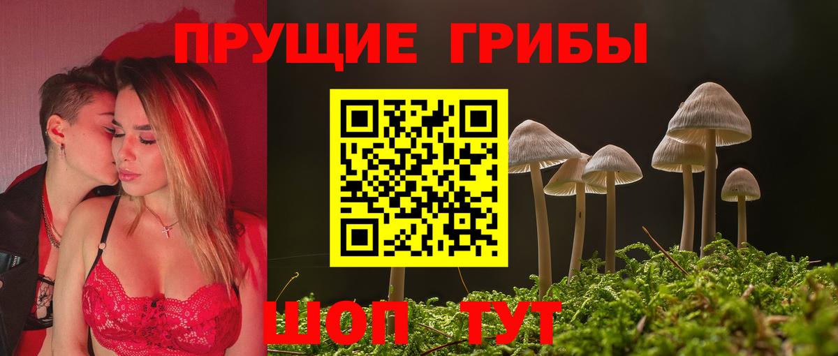Псилоцибиновые грибы Psilocybine cubensis Лабинск
